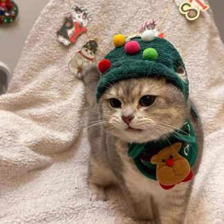 Christmas Tree Cat Cute Hat Set