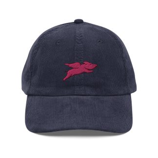 Corduroy flying pig embroidered hat