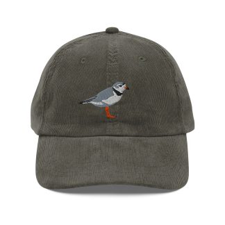 Corduroy plovers embroidered hat