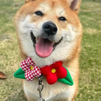 Country-style floral Shiba Inu bow tie