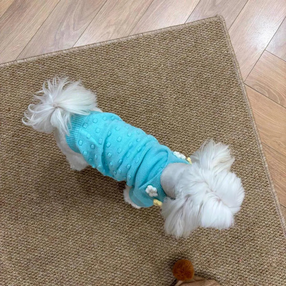 Cute Blue Knitted Puppy Sweater - Image 5