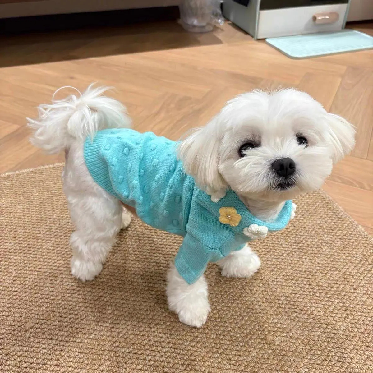 Cute Blue Knitted Puppy Sweater - Image 2