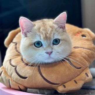 Cute and adorable cartoon bread cat bun dress
