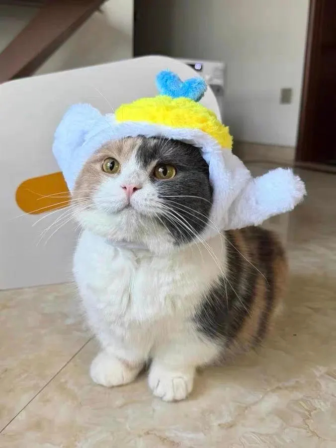 Cute cartoon cat headband with over-ear style - Image 4