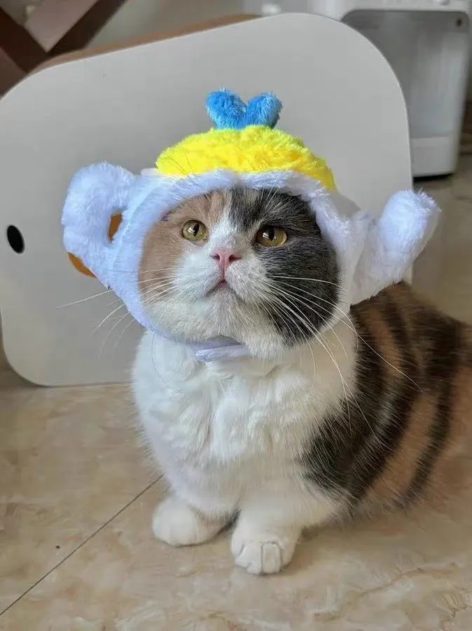 Cute cartoon cat headband with over-ear style - Image 3