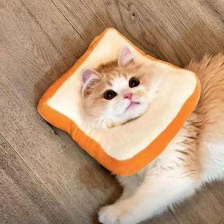 Cute cat toast headgear