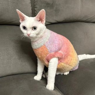 Cute gradient pet loungewear
