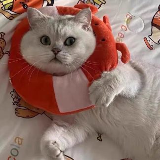 Energetic Summer Cat Lifeline Scarf