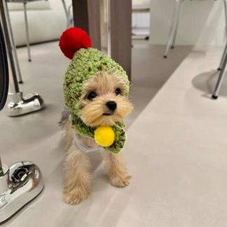 Forest-style green knitted pom-pom headband