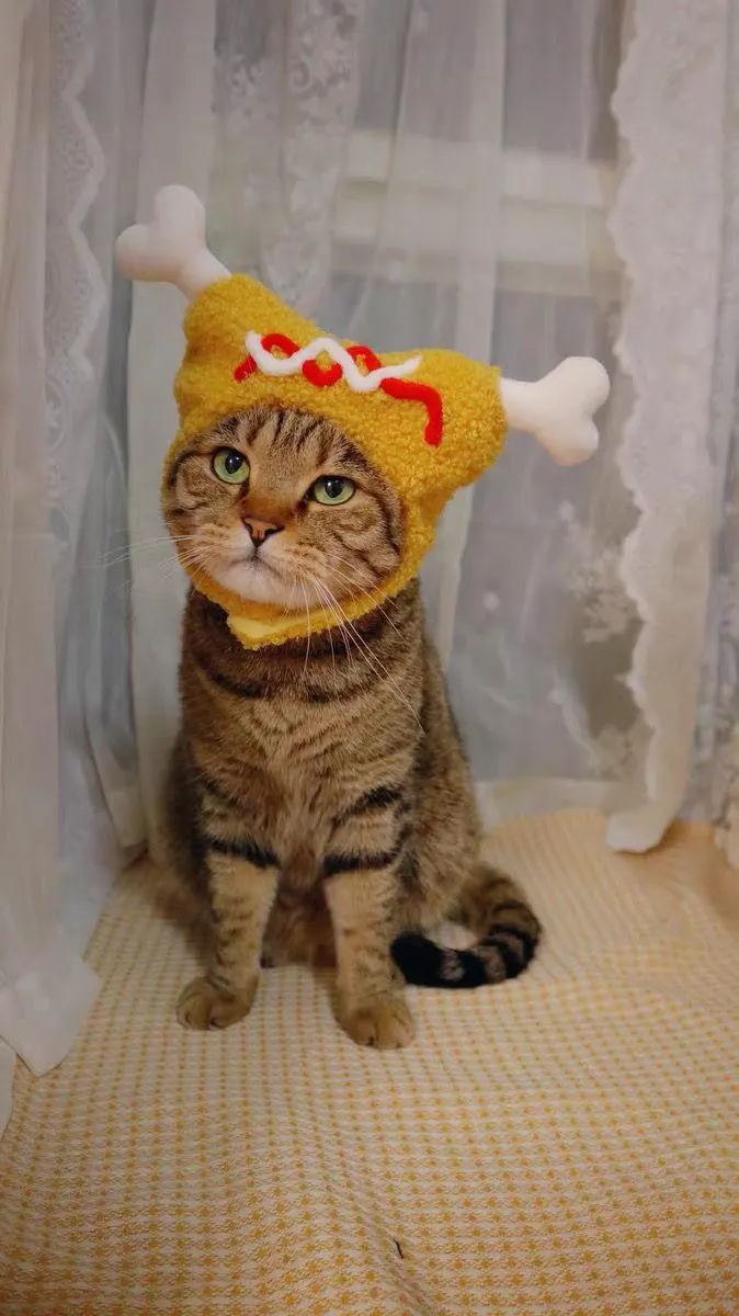 Hot dog shaped cat plush headband - Image 3