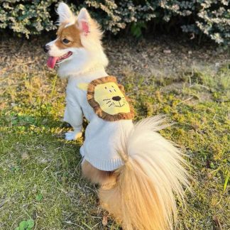Mini lion knitted pet clothes