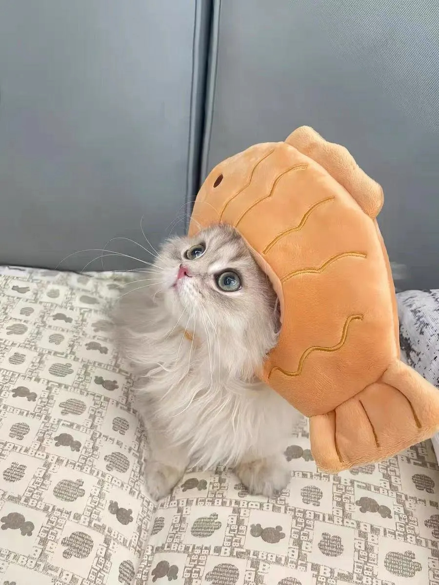 Pan-fried fish-shaped cat plush headband - Image 4