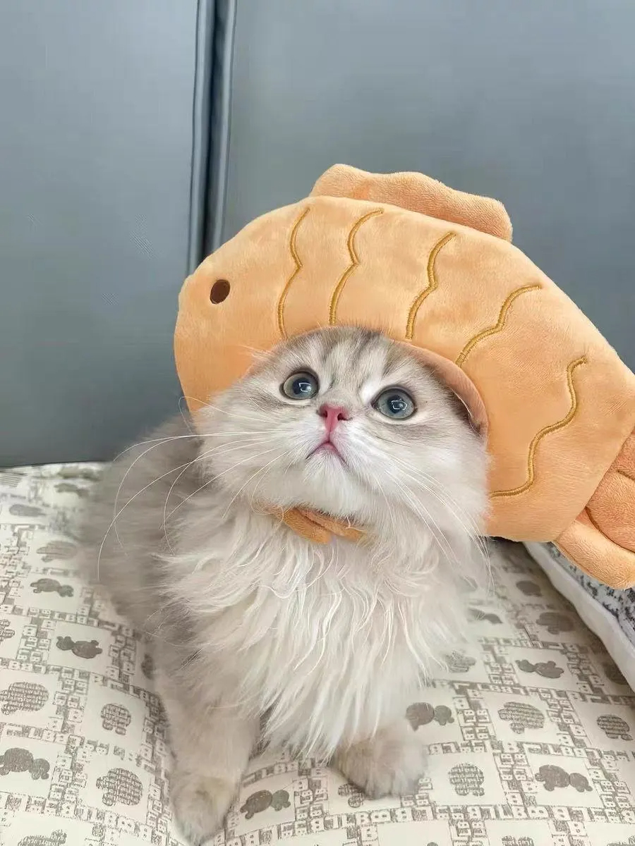 Pan-fried fish-shaped cat plush headband