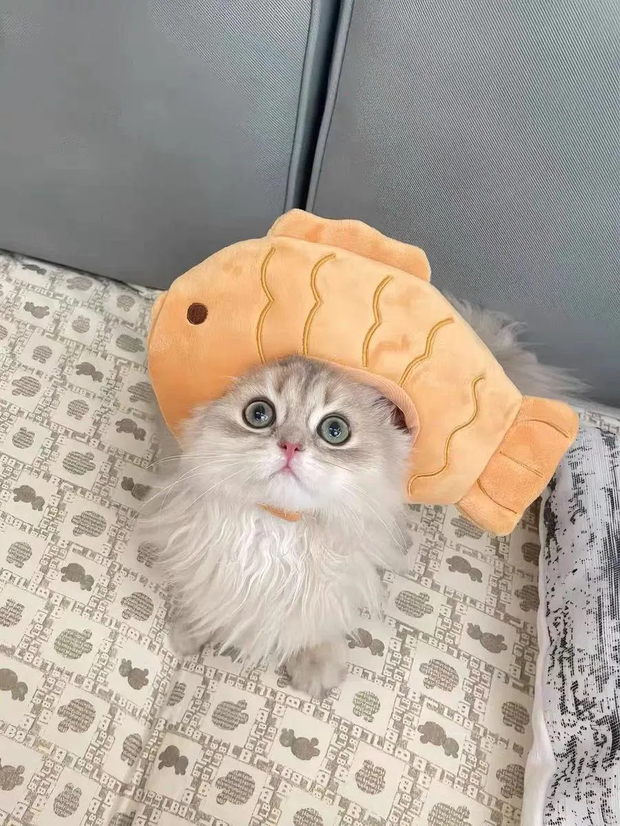 Pan-fried fish-shaped cat plush headband - Image 2