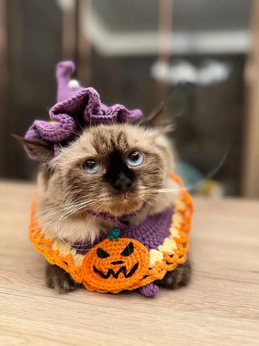 Purple Crochet Clown Hat Cat Headband - Image 5