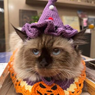 Purple Crochet Clown Hat Cat Headband