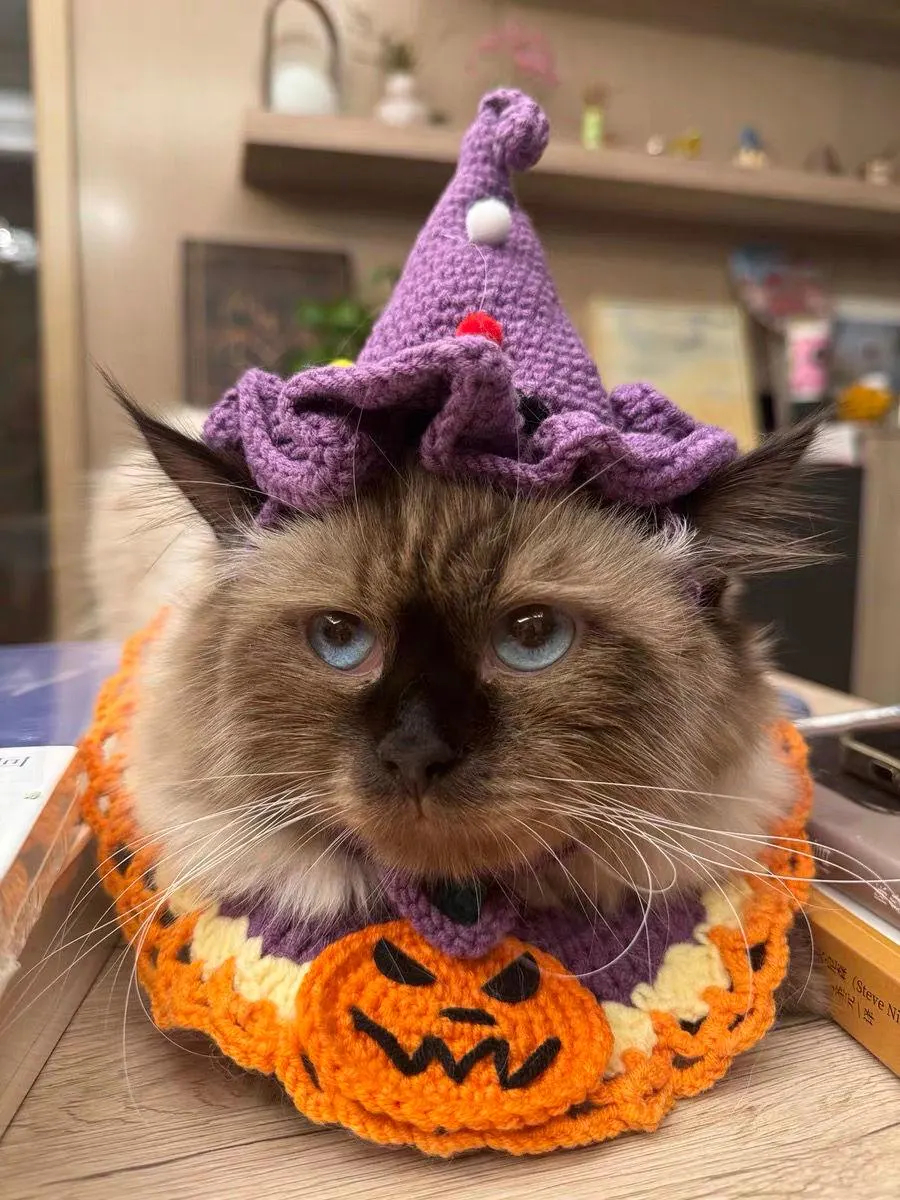 Purple Crochet Clown Hat Cat Headband