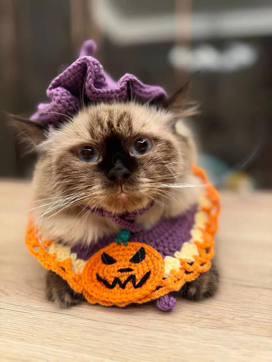 Purple Crochet Clown Hat Cat Headband - Image 3