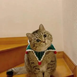 Retro Christmas Knitted Cat Collar