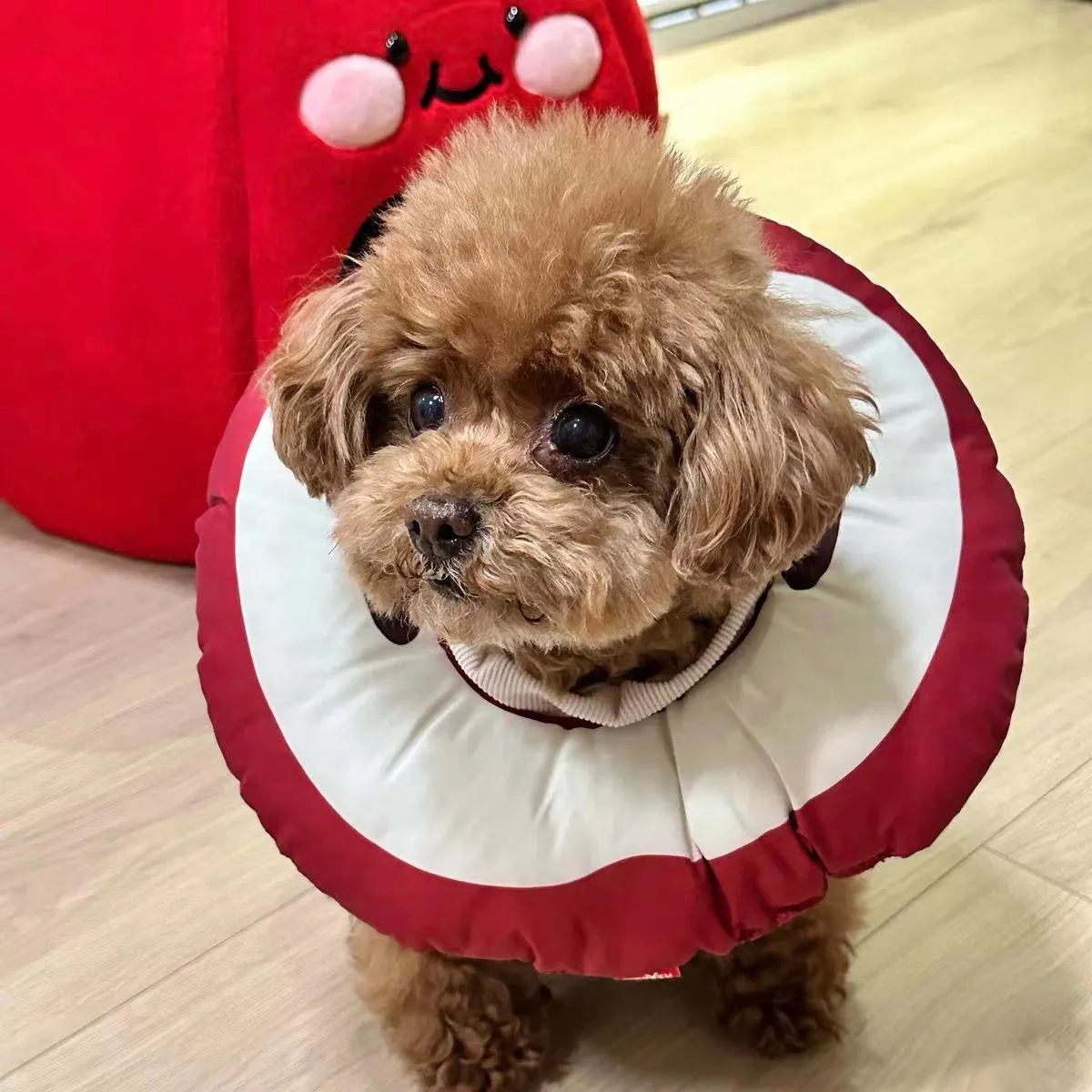 Retro Donut Teddy Bear Scarf