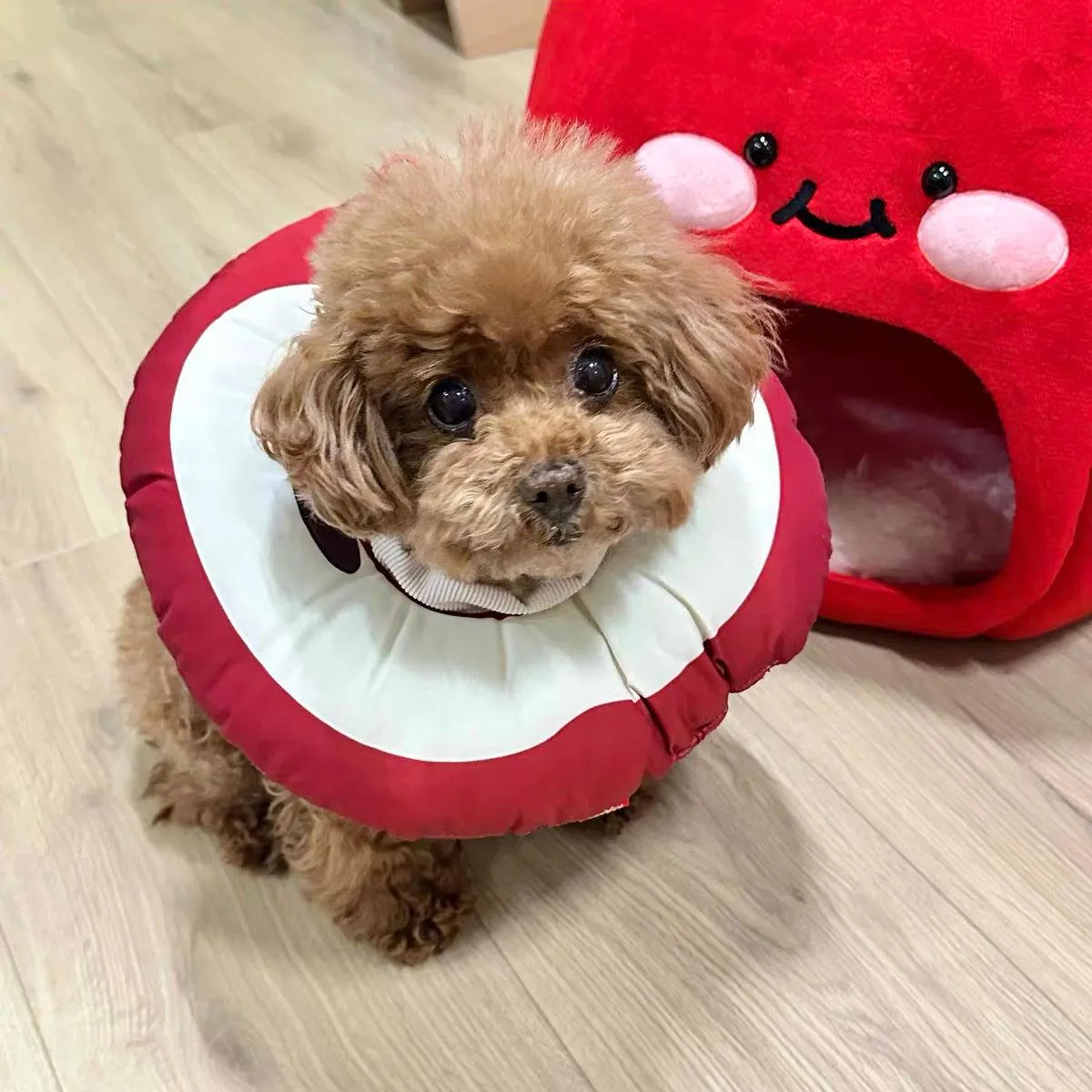 Retro Donut Teddy Bear Scarf - Image 3