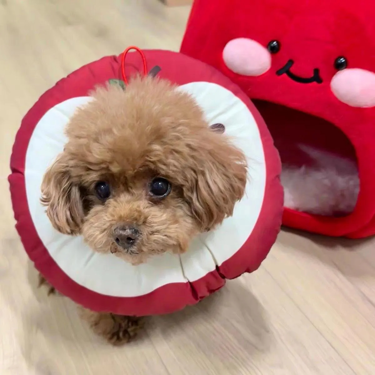 Retro Donut Teddy Bear Scarf - Image 2