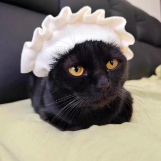 Retro maid style lace cat headband