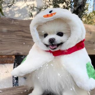 Soft and cute snowman pet cloak
