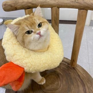 Soft and fluffy soufflé cat scarf