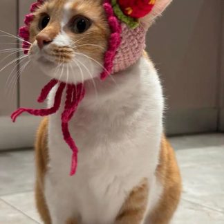 Strawberry-themed crochet cat cute headband