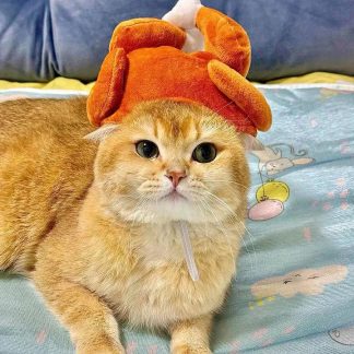 Thanksgiving Turkey-themed Cat Plush Headband
