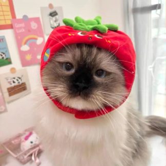 Tomato-themed plush cat headband