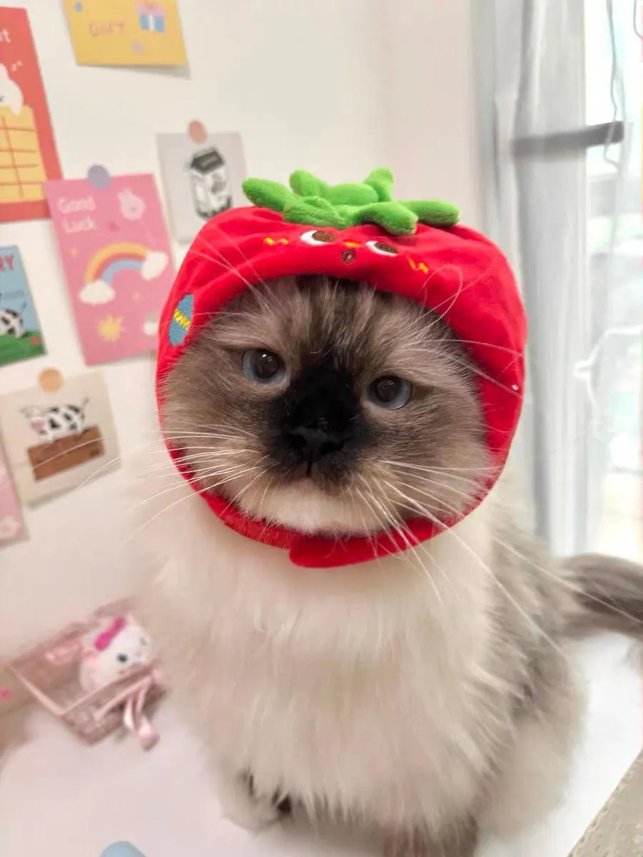 Tomato-themed plush cat headband