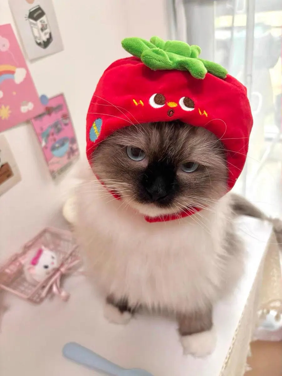Tomato-themed plush cat headband - Image 2
