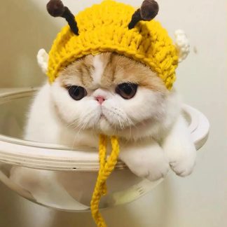 Yellow Crochet Bee and Cat Headband