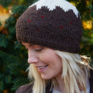 Christmas Pudding Knitted Hat