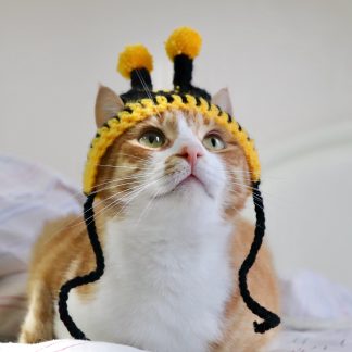 Bumblebee Crochet Cat Hat
