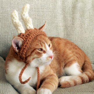 Deer Antlers Crochet Cat Hat