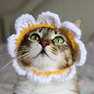 Sunflower Crochet Cat Bonnet