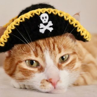 Cute little pirate hat
