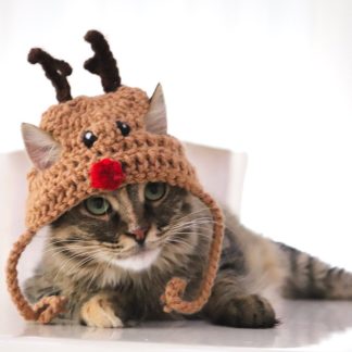 Reindeer Crochet Cat Hat