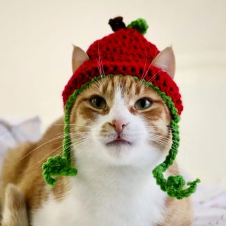 Cherry Crochet Cat Hat