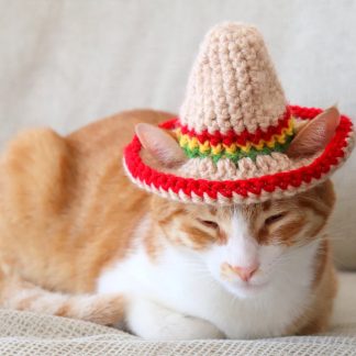 Sombrero Crochet Cat Hat