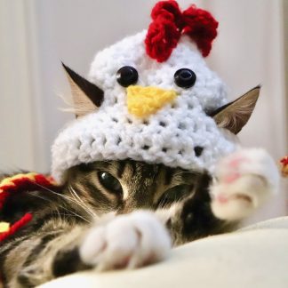 Chicken Crochet Cat Hat