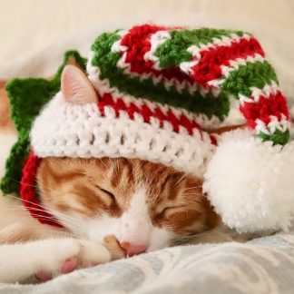 Christmas Elf Crochet Cat Hat