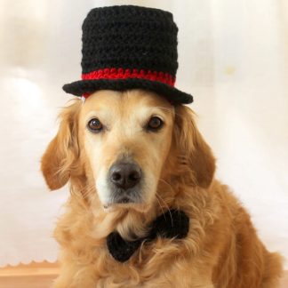Classic Top Hat Crochet Dog Hat