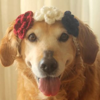 Patriotic Floral Crochet Dog Flower Crown
