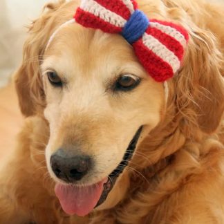 Patriotic Crochet Dog Bow Headband