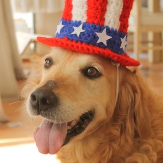 Patriotic Uncle Sam Crochet Dog Top Hat