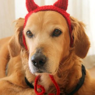 Devil Horn Crochet Dog Hat